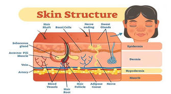 Getting Started with Skin Care: A Must-Have Guide for Beginners